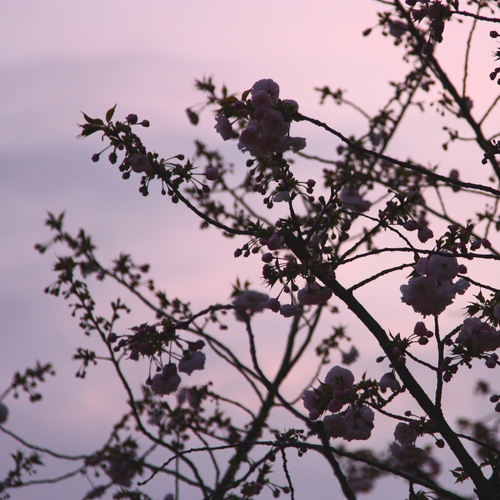 IMG_9789 - バージョン 2.JPGのサムネール画像